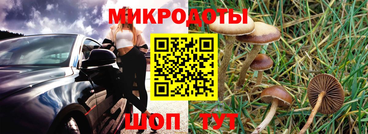 Среднеуральск  Псилоцибиновые грибы прущие грибы  Вход с VPN 