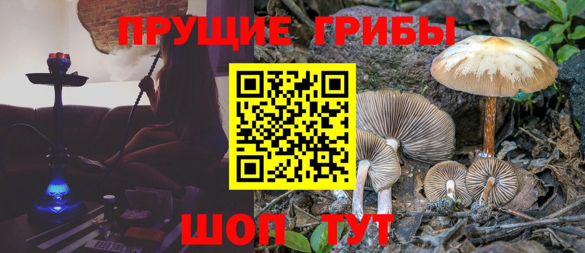 Псилоцибиновые грибы мухоморы Среднеуральск